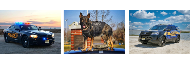 K9 and police cars