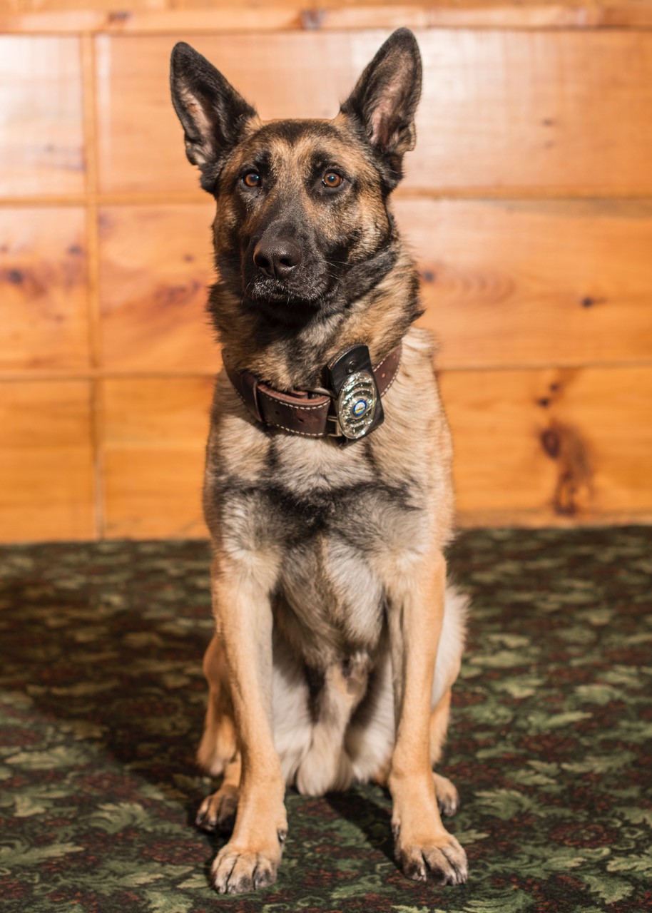 Belmont Police Department, NH 